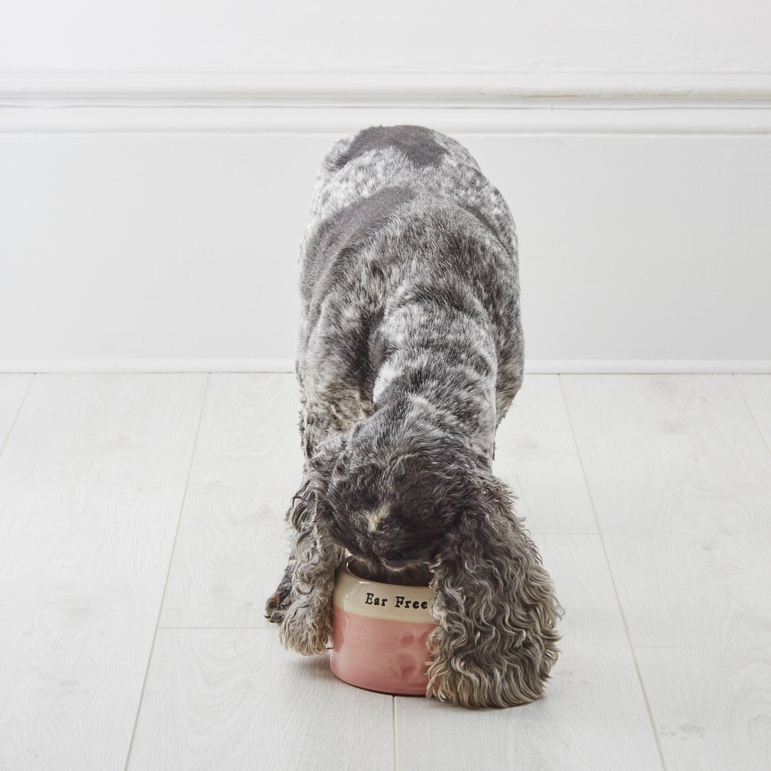 Long eared outlet dog bowl